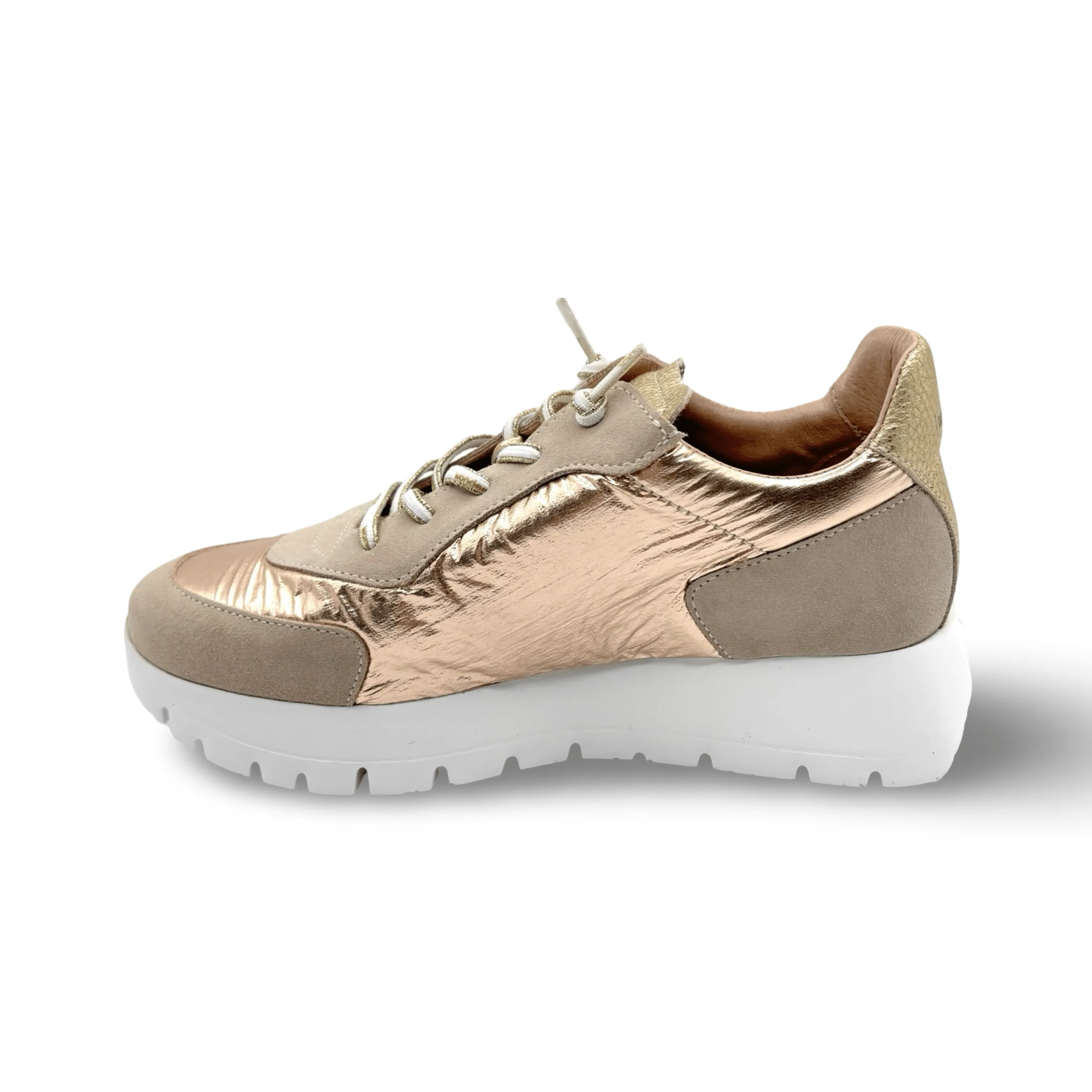 A2464 Beige Gold Sneaker
