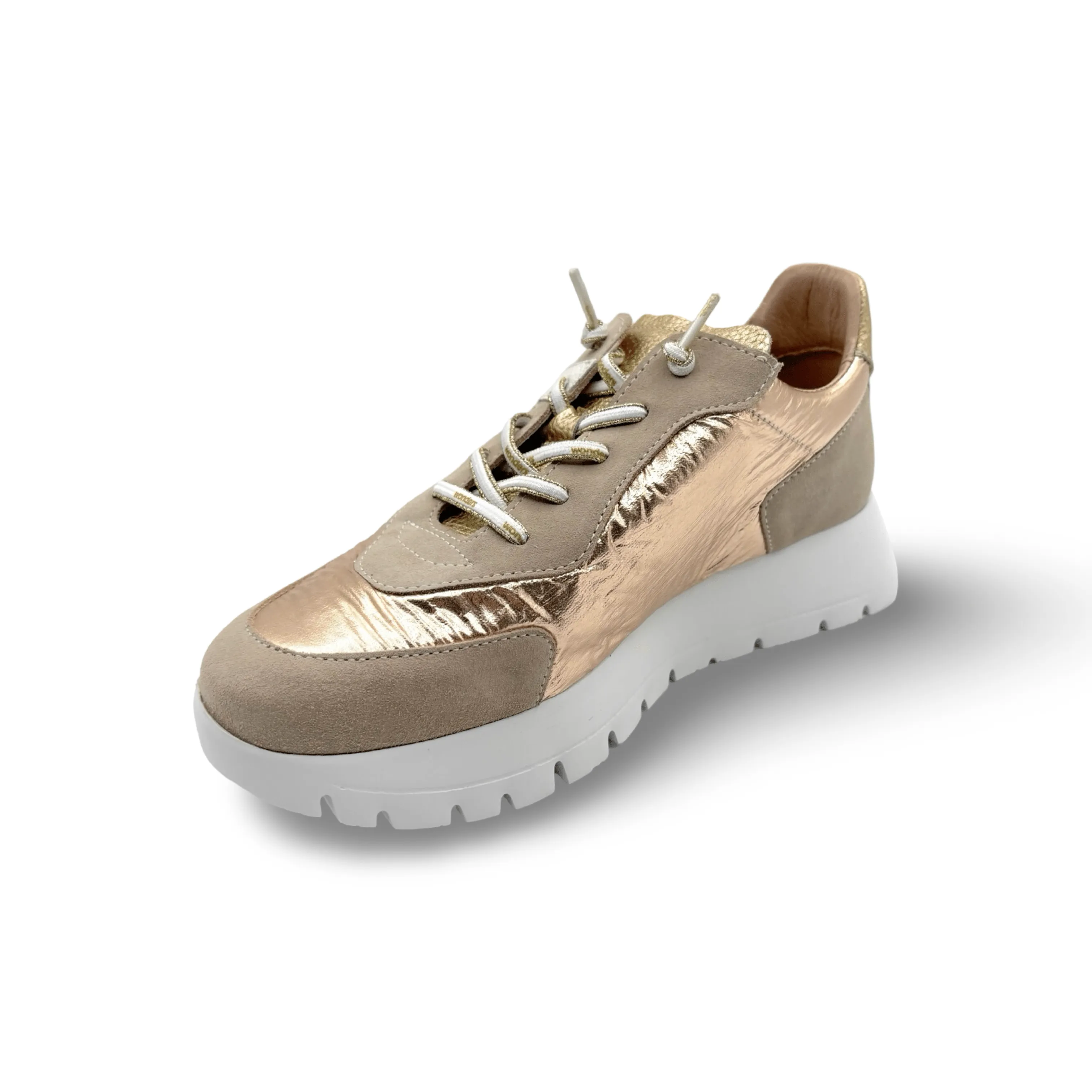 A2464 Beige Gold Sneaker