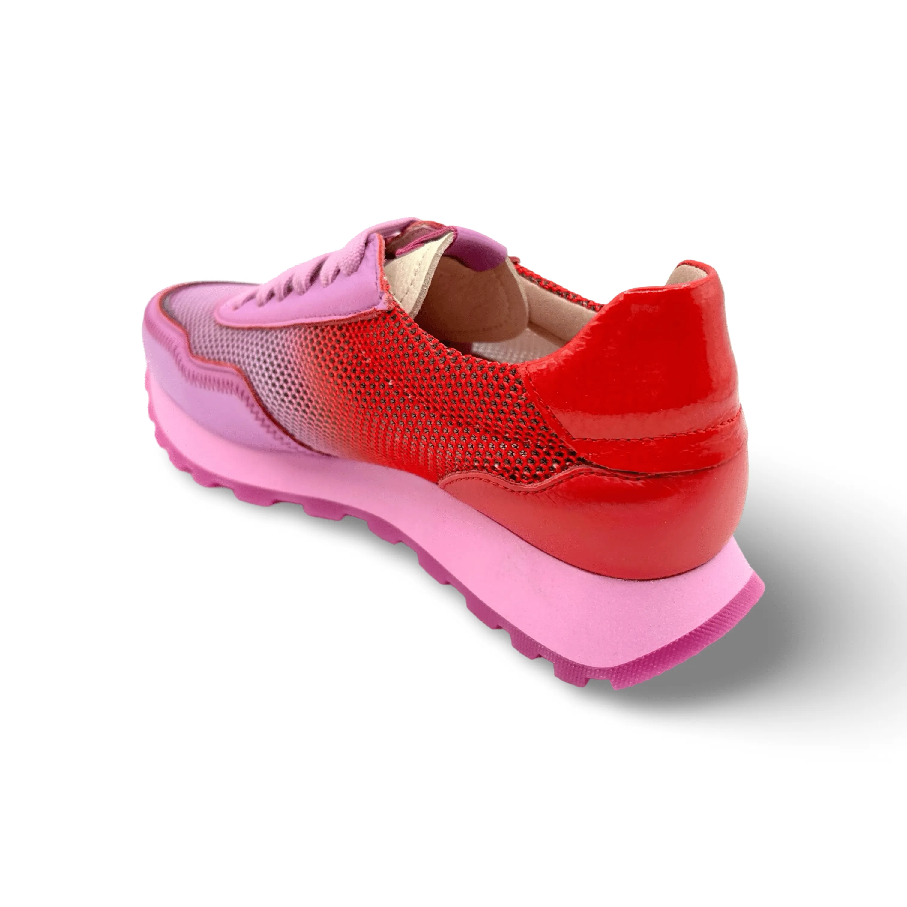 Loira Violet/Scarlett Lace Up Sneaker