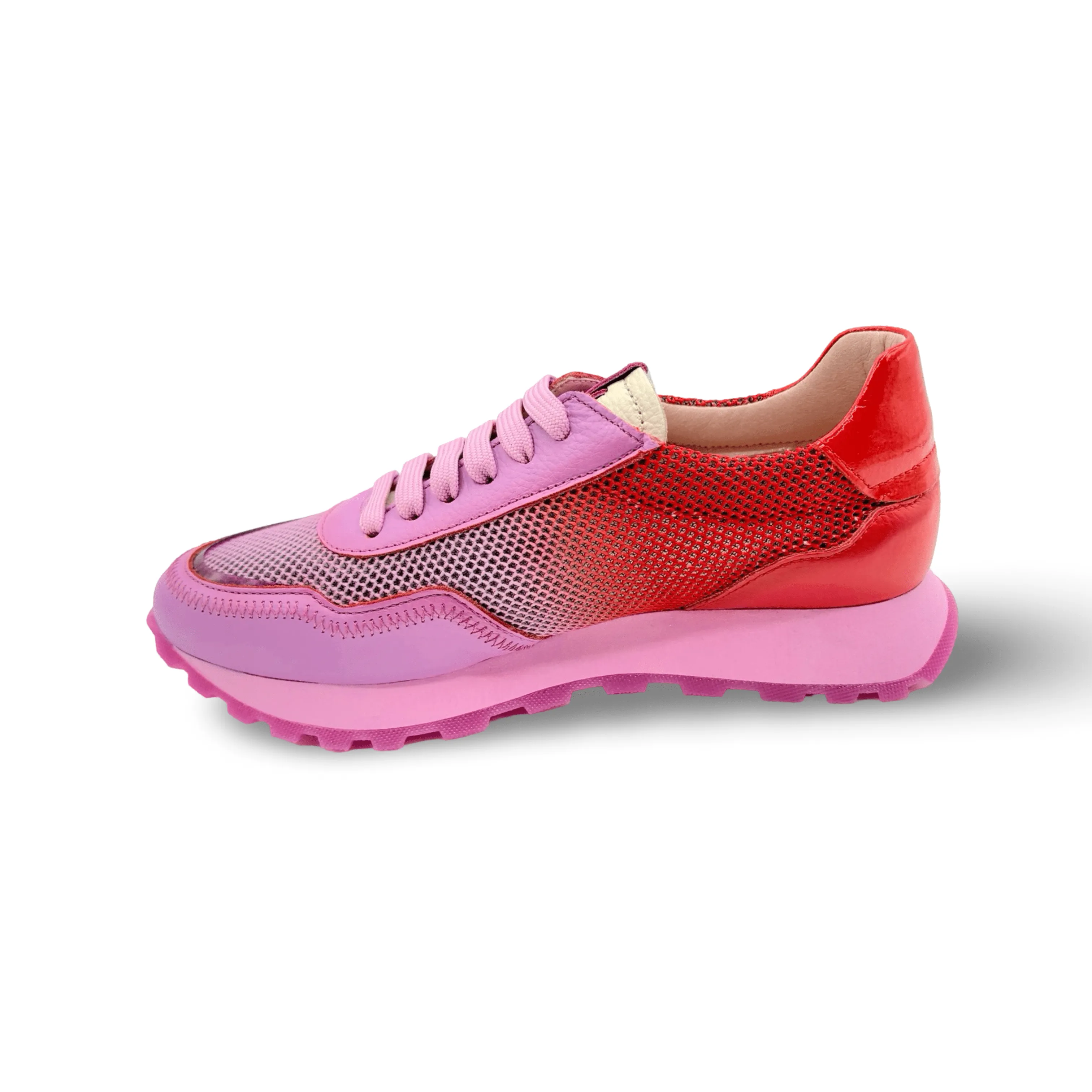 Loira Violet/Scarlett Lace Up Sneaker