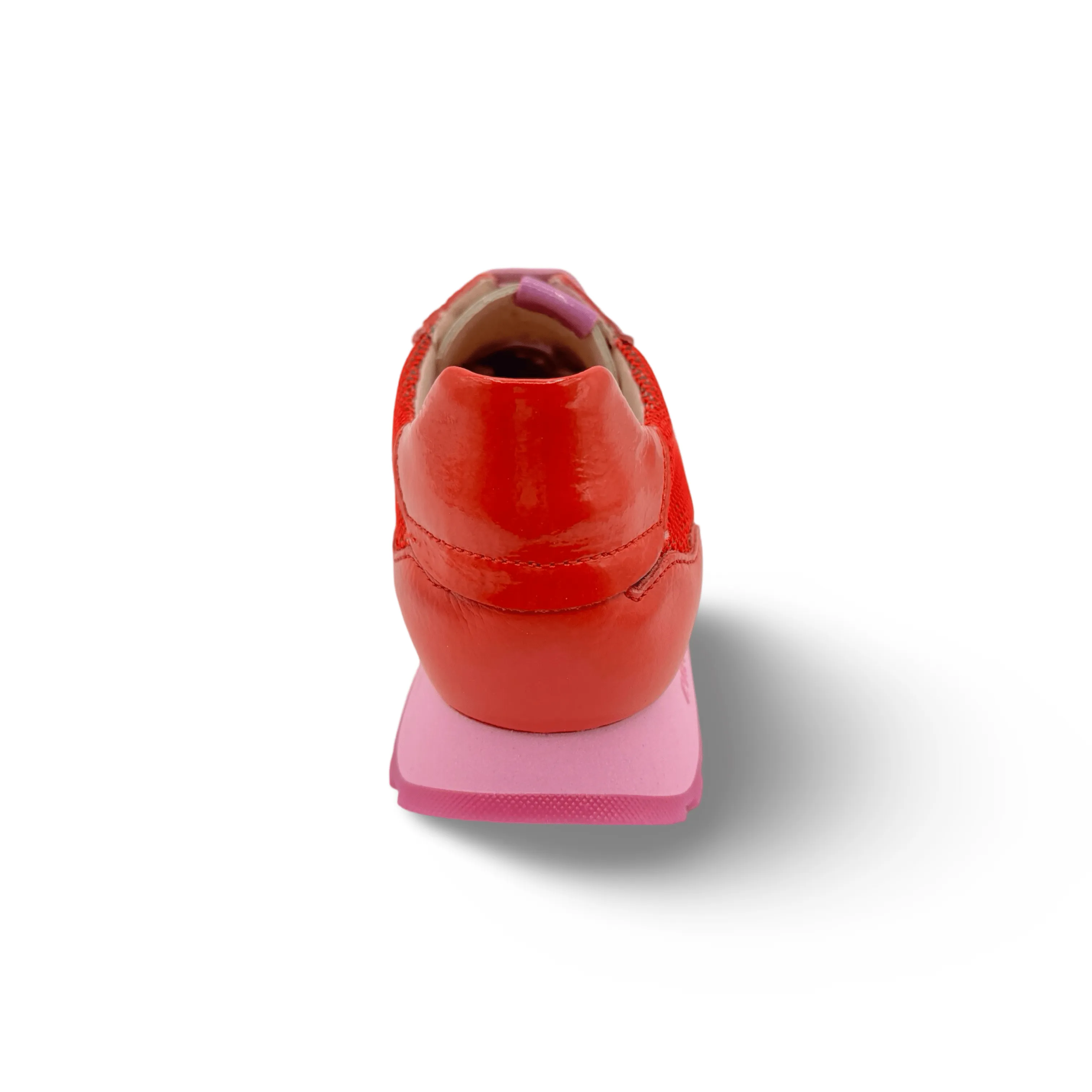 Loira Violet/Scarlett Lace Up Sneaker