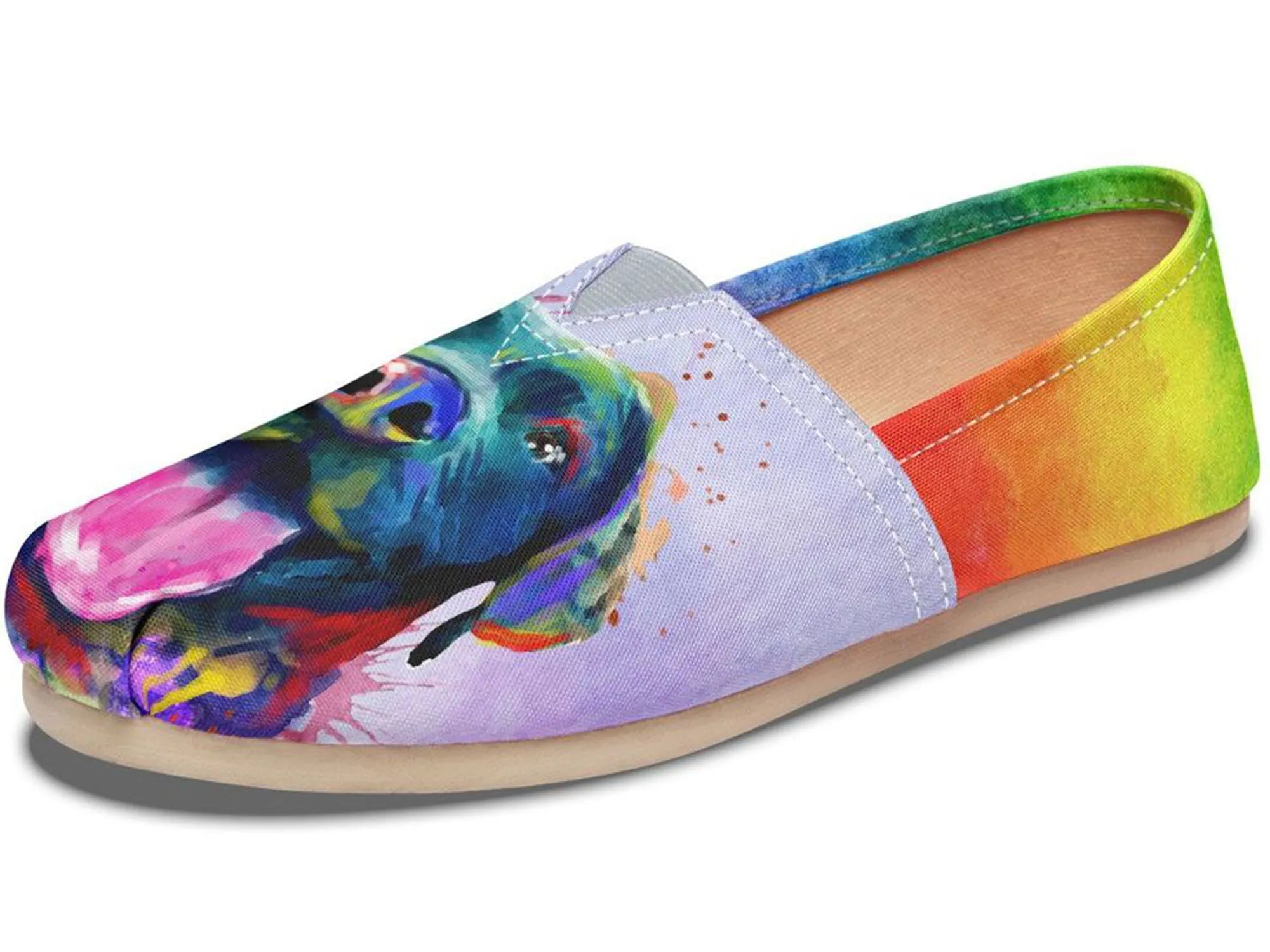 Rainbow Black Lab Casual Shoes