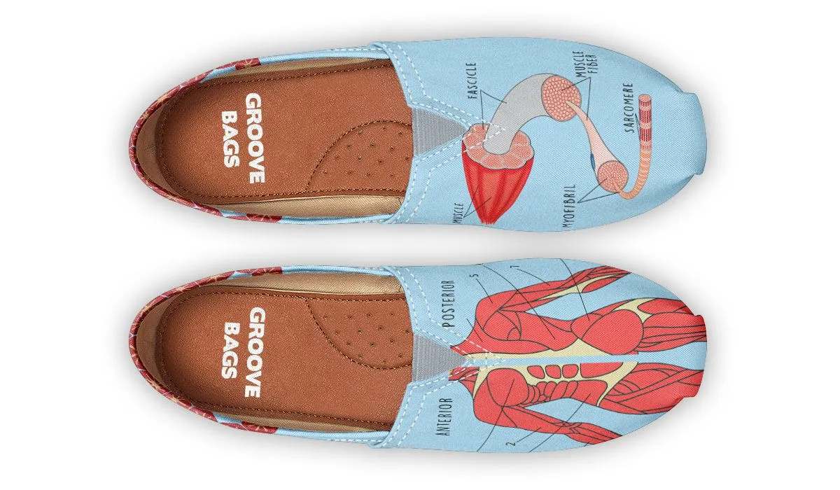Skeletal Muscle Casual Shoes