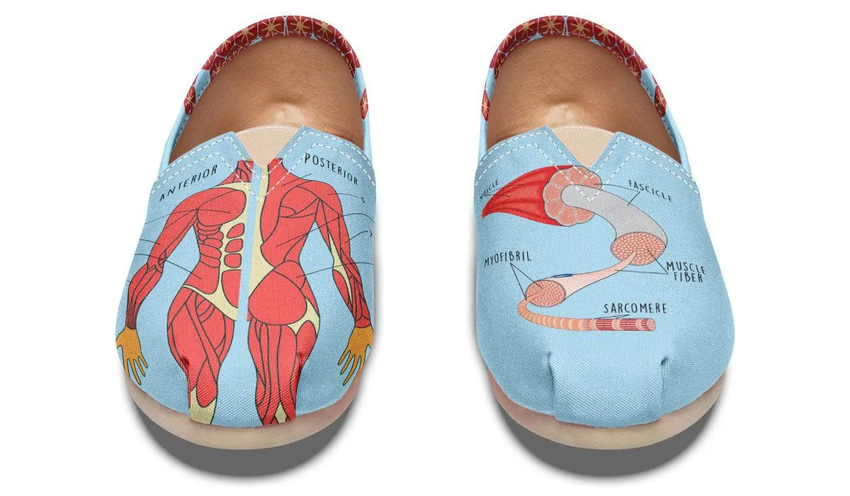 Skeletal Muscle Casual Shoes