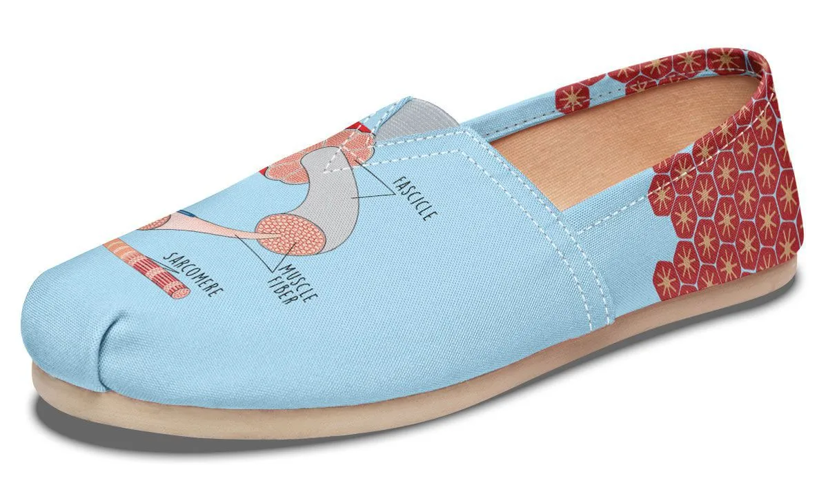 Skeletal Muscle Casual Shoes
